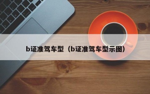 b证准驾车型（b证准驾车型示图）