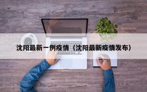 沈阳最新一例疫情（沈阳最新疫情发布）