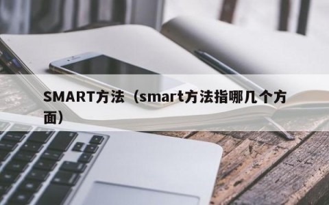 SMART方法（smart方法指哪几个方面）