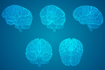 辅助教程“闲来互娱免费辅助下载”开挂(透视)辅助教程!