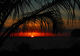 辅助教程分享“微乐内蒙麻将怎么赢”通用版下载教程!