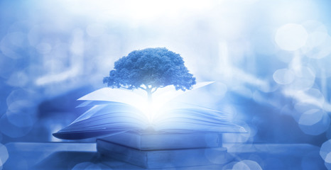 辅助开挂工具“微乐自建房安装挂”开挂(透视)最新辅助详细