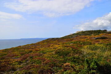 实测开挂辅助：“经典联盟万能挂”开挂(透视)辅助教程!