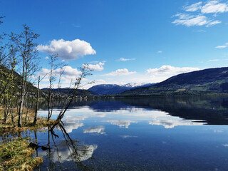 玩家必看教程“微乐捉鸡麻将开挂教程步骤图”开挂辅助脚本