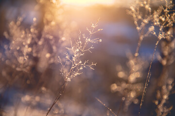 最新一款“微乐自建房开挂”通用版下载教程!