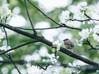 最新一款“wepoker透视辅助”开挂(透视)最新辅助详细