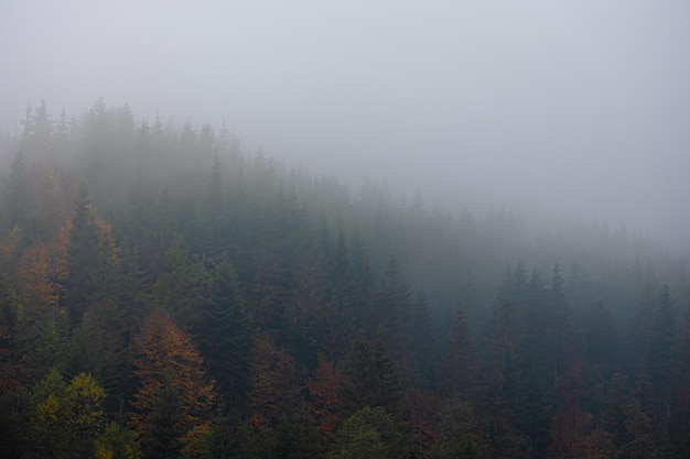 开挂器推荐“边锋斗地主有挂吗”可以开挂方法