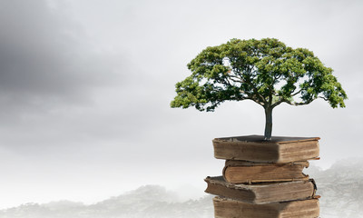 盘点一款“开心联盟辅助器(免费)”通用版下载教程!