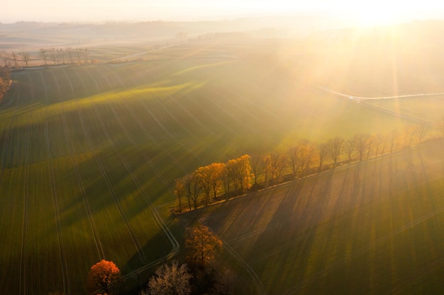 辅助教程分享“微乐内蒙麻将怎么赢”通用版下载教程!