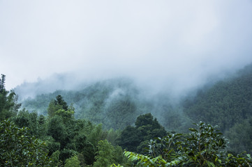 开挂器推荐“微乐斗地主万能透视”(透视)其实确实有挂